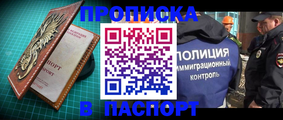 где прописаться в Ковылкино